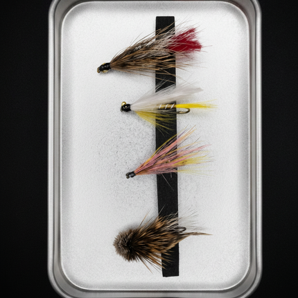 Set of fly fishing flies in a clear case on a black background