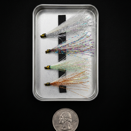 Four fishing flies in a clear case with a quarter for scale on a black background