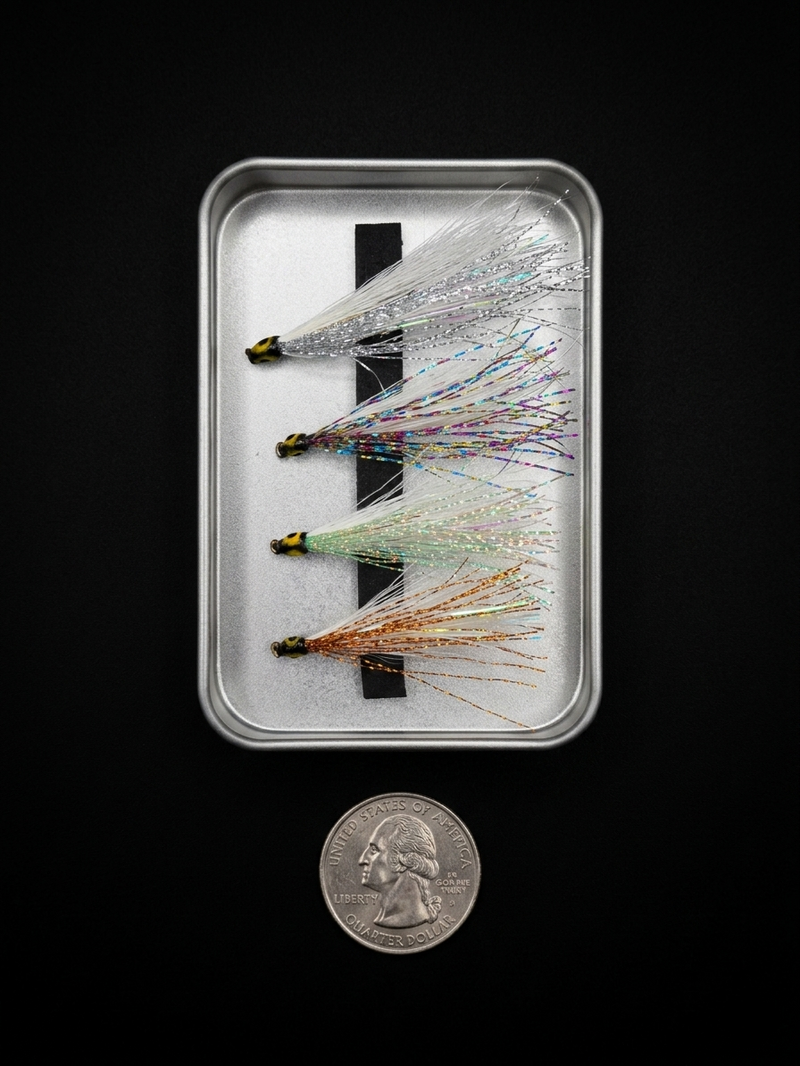 Four fishing flies in a clear case with a quarter for scale on a black background