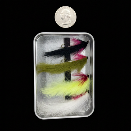 Four fishing flies in a clear case with a coin for scale on a black background