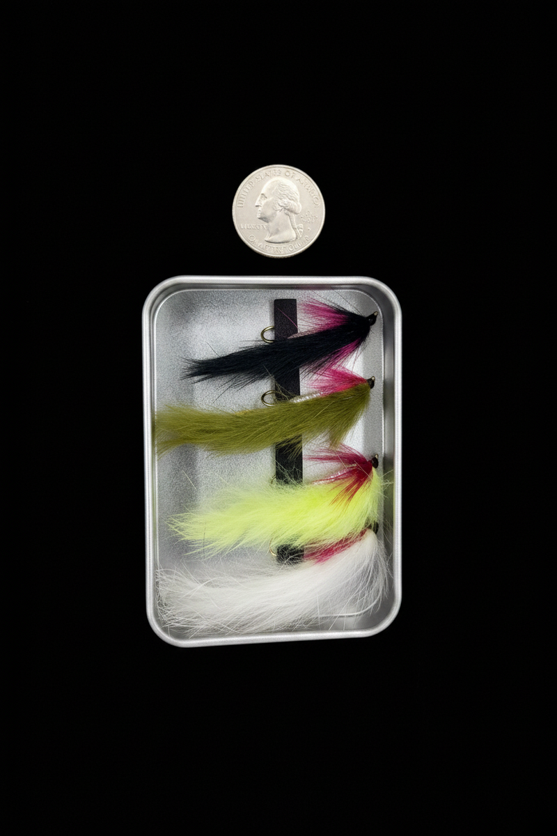 Four fishing flies in a clear case with a coin for scale on a black background