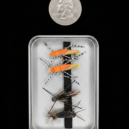 Set of fly fishing flies in a small metal case with a coin for scale on a black background