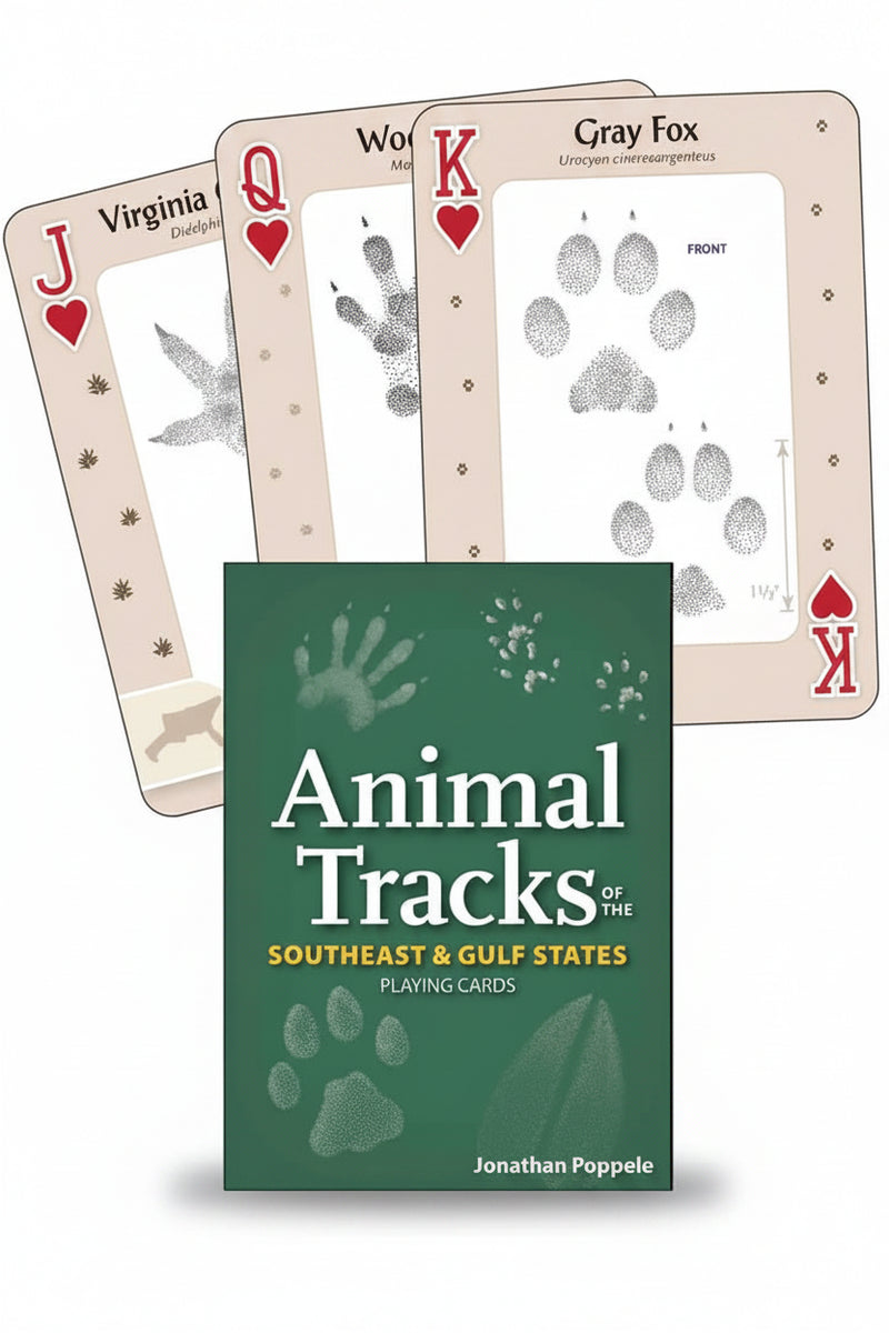 Animal Tracks of the Southeast & Gulf States Playing Cards with three cards fanned out