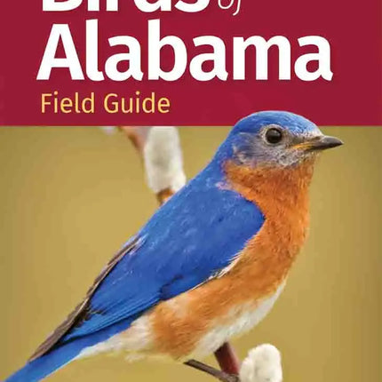 Birds of Alabama Field Guide 2nd Edition by Stan Tekiela book cover with a bluebird