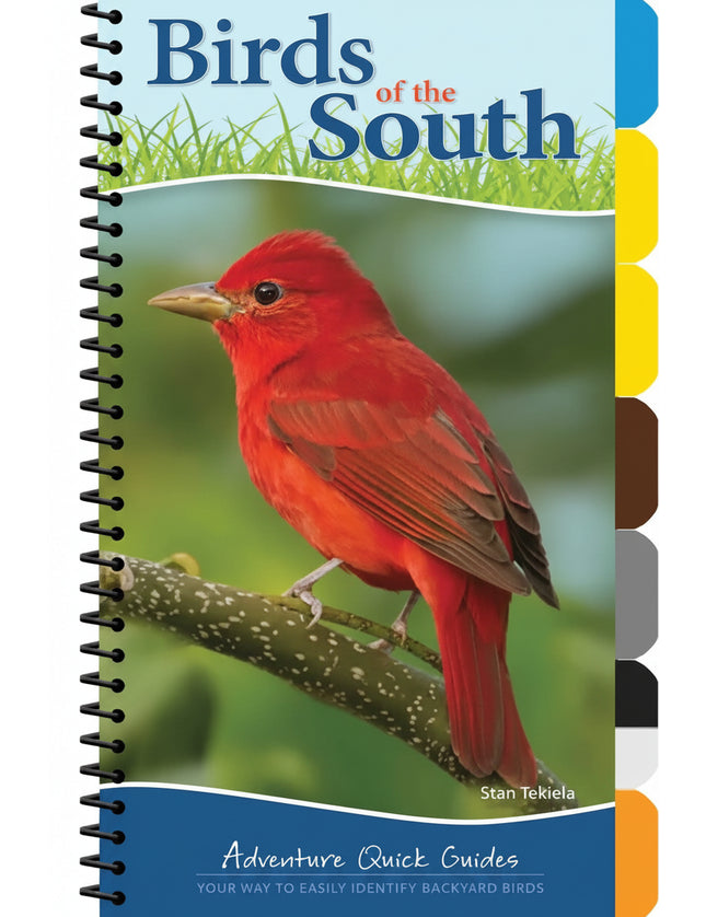 Birds of the South book cover with a red bird on a branch