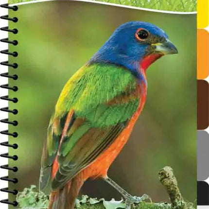 Birds of the Southeast book cover with a painted bunting bird