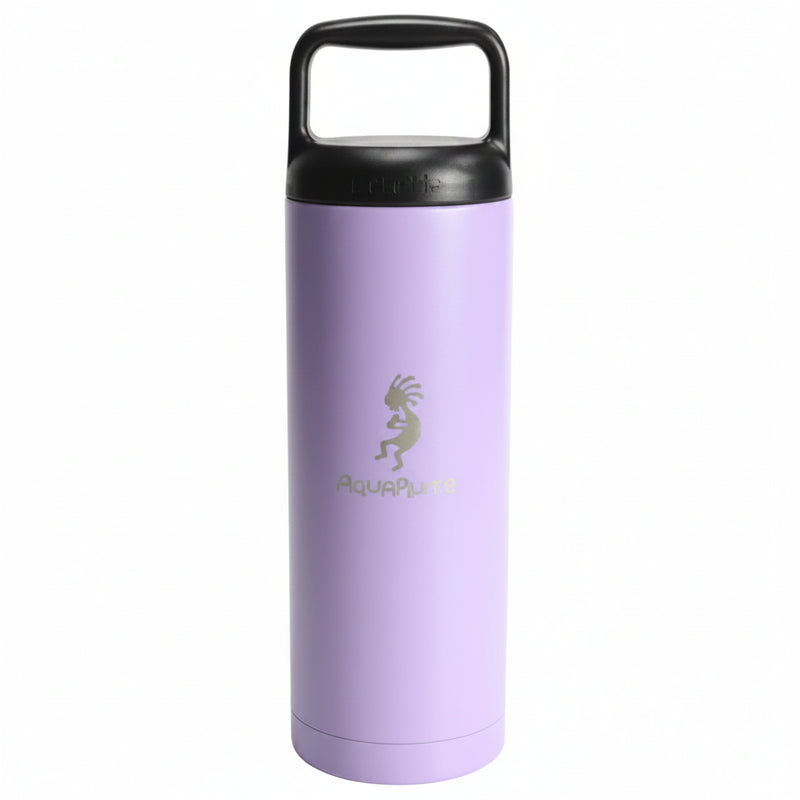 AquaFlask 22oz with handle lid in purpel with plastic screw on black lid