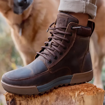 Brown leather boot with laces on a tree stump, dog in background