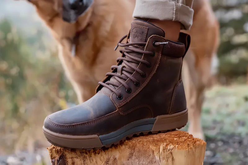 Brown leather boot with laces on a tree stump, dog in background