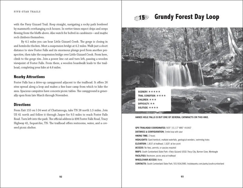 Black and white image of a waterfall flowing into a river, surrounded by trees and rocks