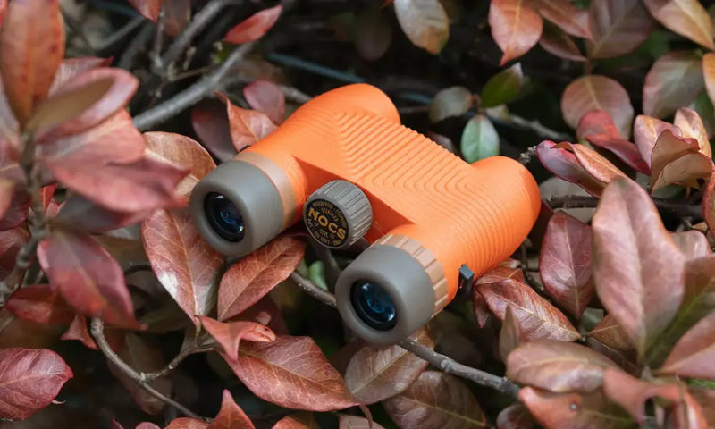 Orange Nocs Provisions binoculars with grey accents, resting on reddish-brown leaves