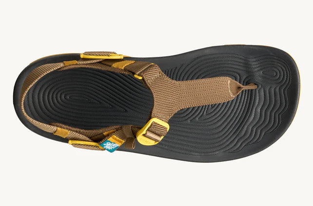 Black sandal with brown straps and gold buckles on a white background
