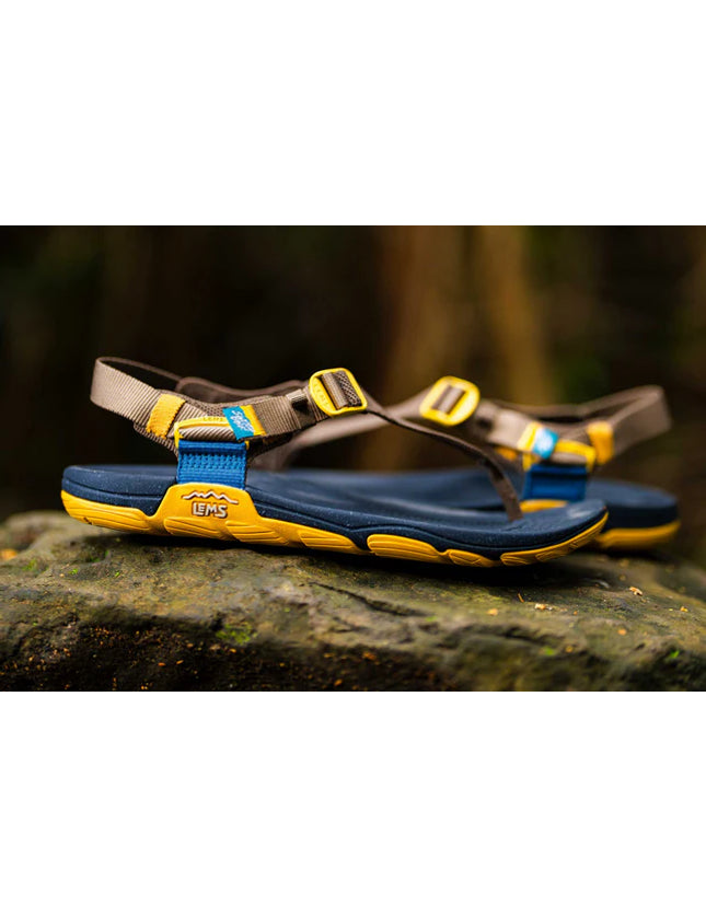 Blue and yellow sandals with 'LEMS' branding on a rock surface