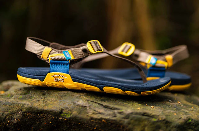 Blue and yellow sandals with 'LEMS' branding on a rock surface